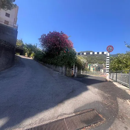 Apartment Nibbio